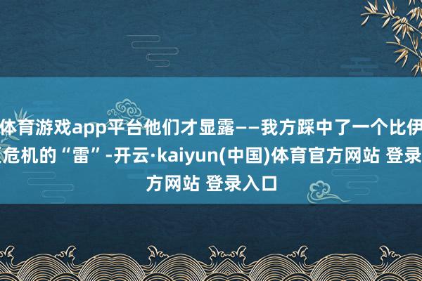 体育游戏app平台他们才显露——我方踩中了一个比伊朗更危机的“雷”-开云·kaiyun(中国)体育官方网站 登录入口